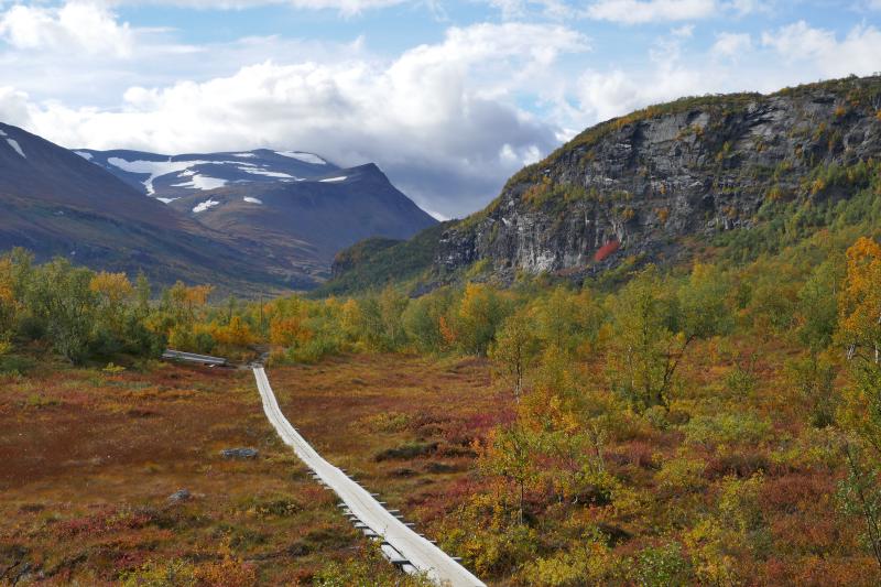 Nikkaluokta